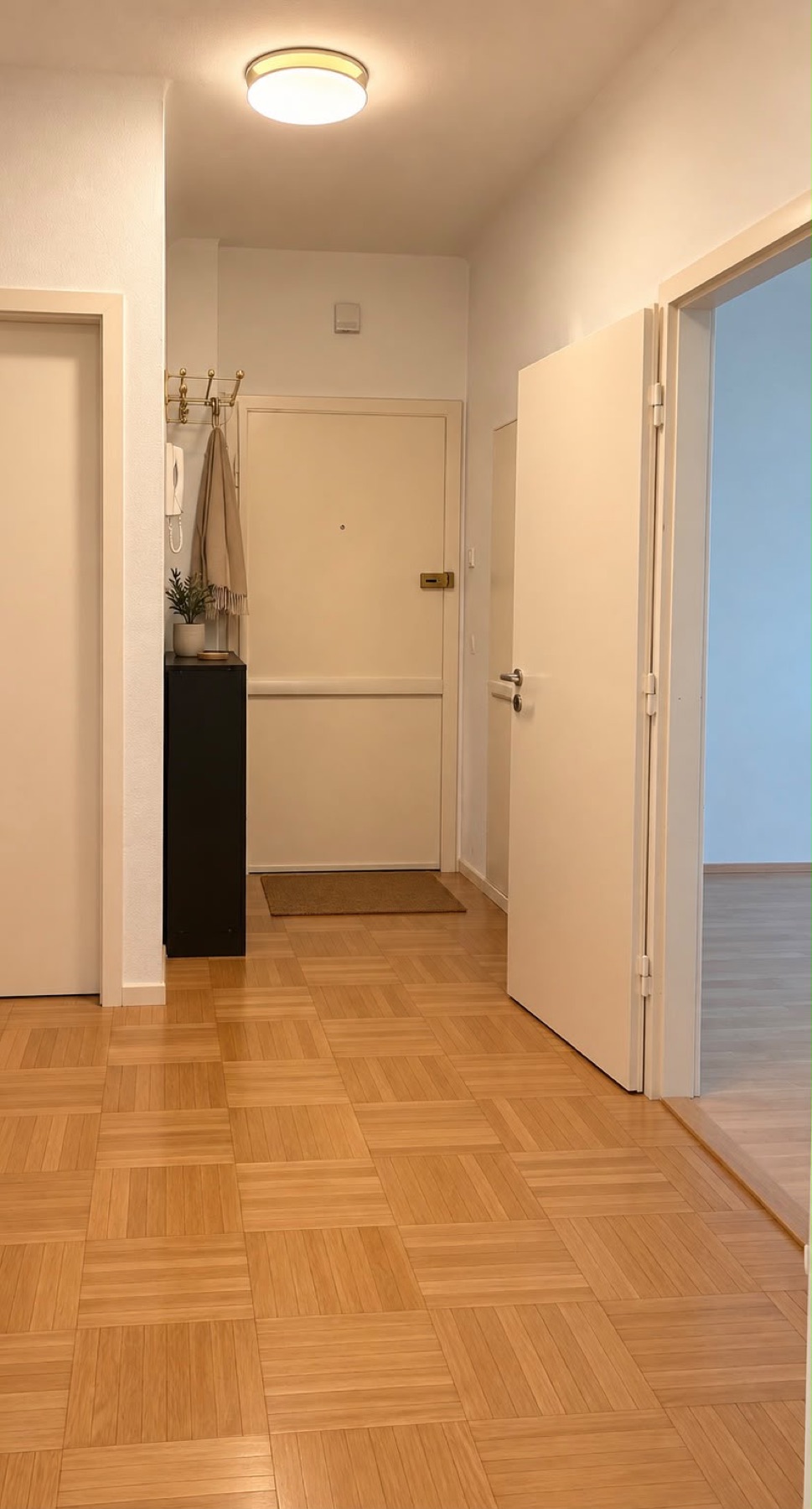 Hallway with parquet floor, entrance door, intercom and coat hooks